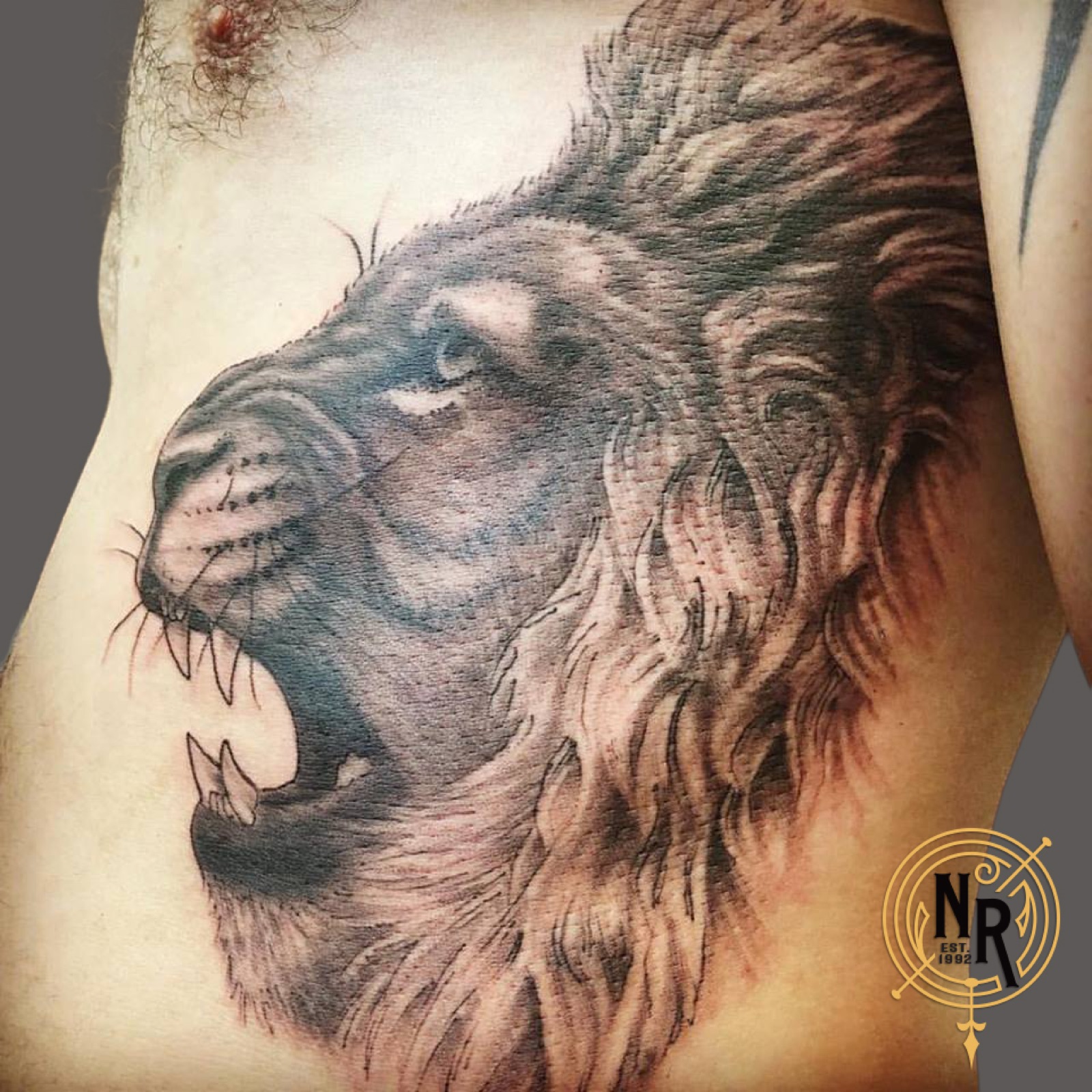 Roaring lion tattoo on ribs